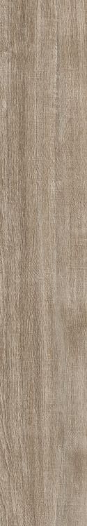 Soft Caramel 8 x 48